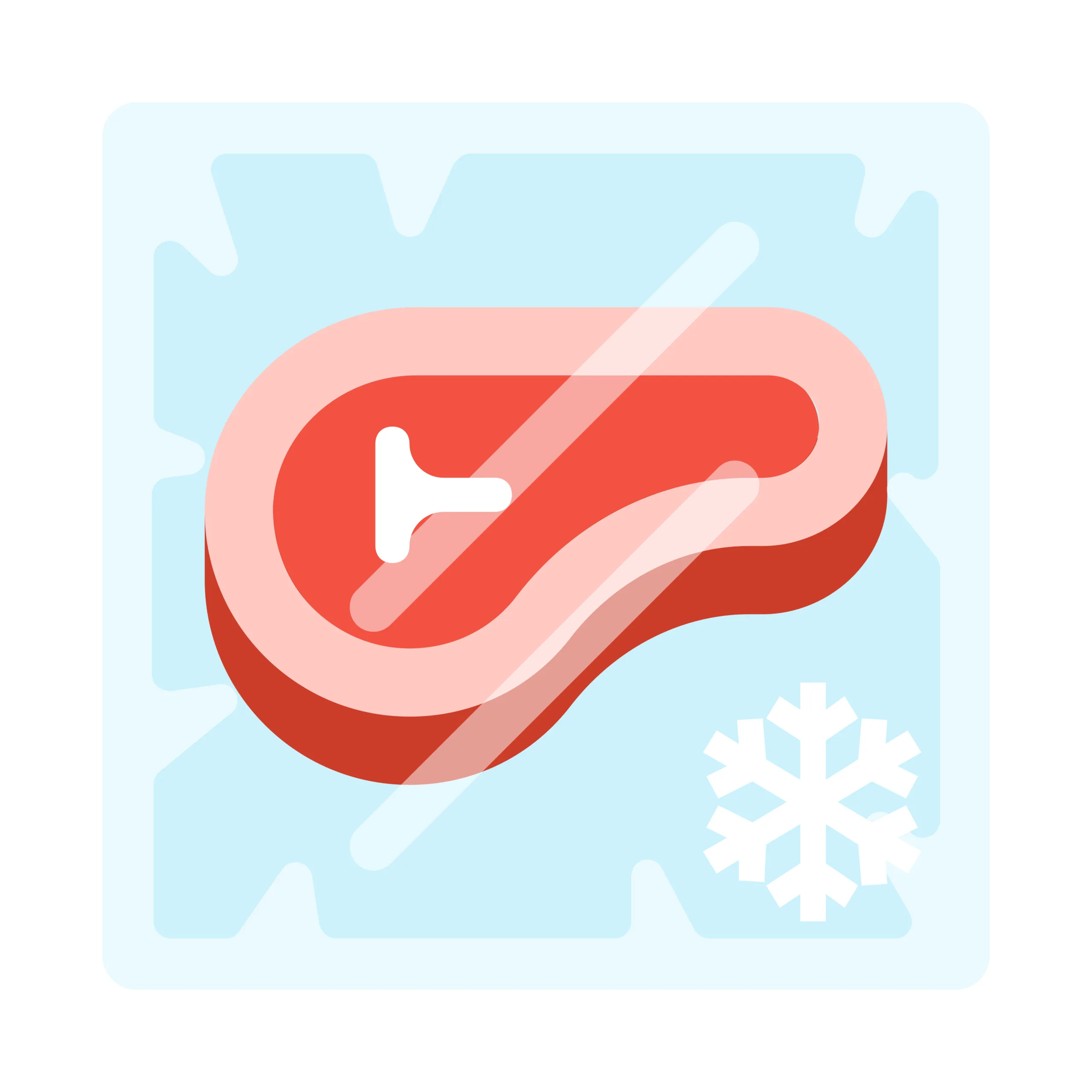 Frozen steak meat AdobeStock 464505782 scaled